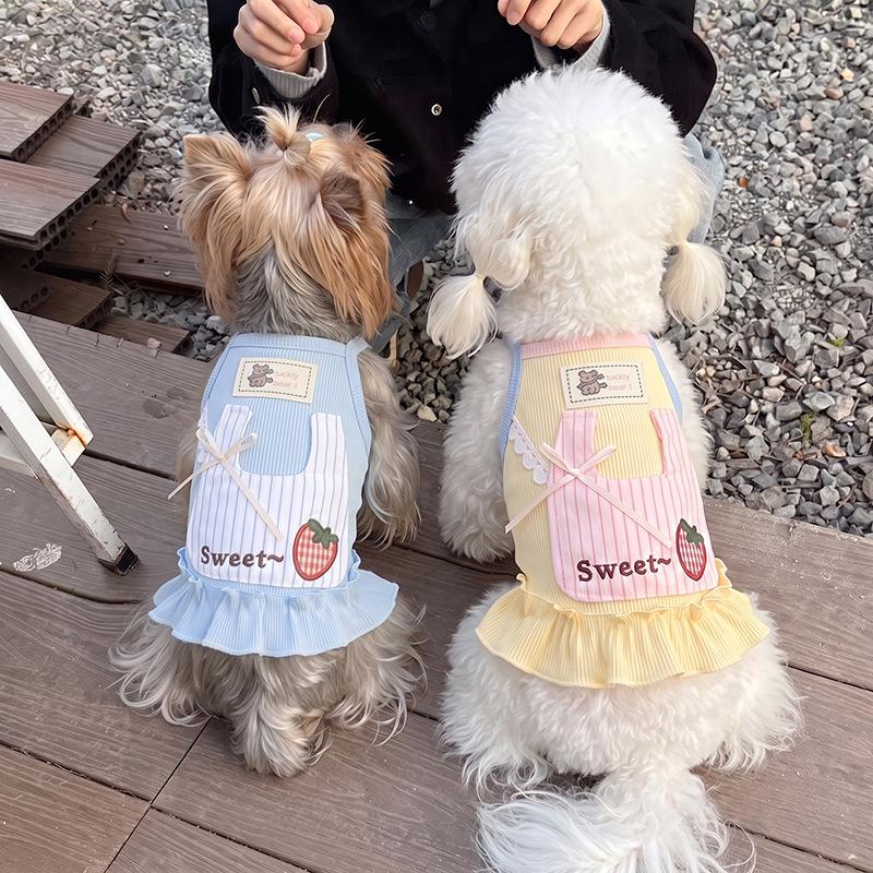 Dog Clothes Spring and Autumn Cute Suspender Vest Bigbear Cat Teddy Pomeranian Small Dog Pet Lace Dress