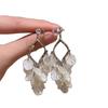 New super fairy design sense light luxury vacation style earrings female shell flower high sense long fringed earrings earrings