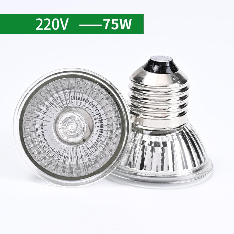 Reptile Heating Lamp Turtle Basking Halogen Light Bulb Heating Light Full Spectrum Sunlamp for Lizards Amphibians 25/50/75W