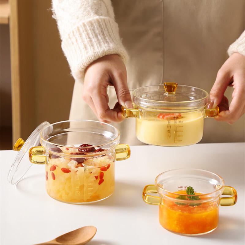 High Borosilicate Glass Steaming & Stewing Pot with Lid