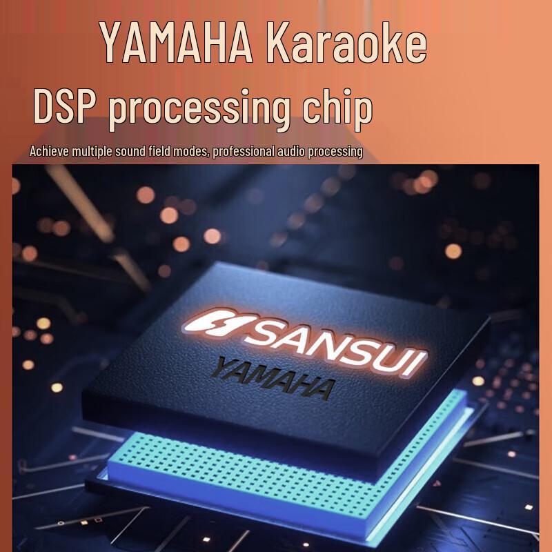 SANSUI G08 Portable KTV Bluetooth Speaker