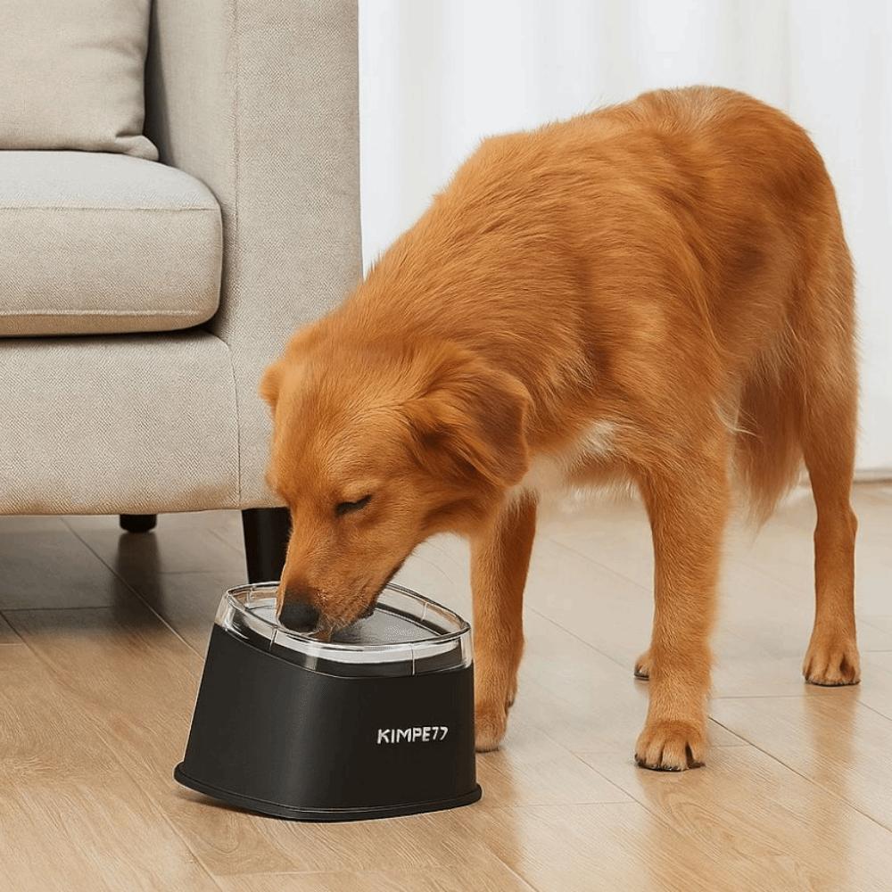 Anti-Tip Pet Floating Bowl Non-Wetting Mouth Pet Drinking Dispenser Pet Water Bowl  Multi-Pet