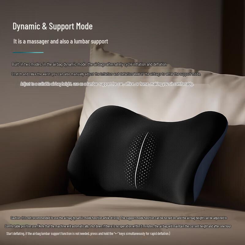 Philips Electric Lumbar Massager and Support Cushion