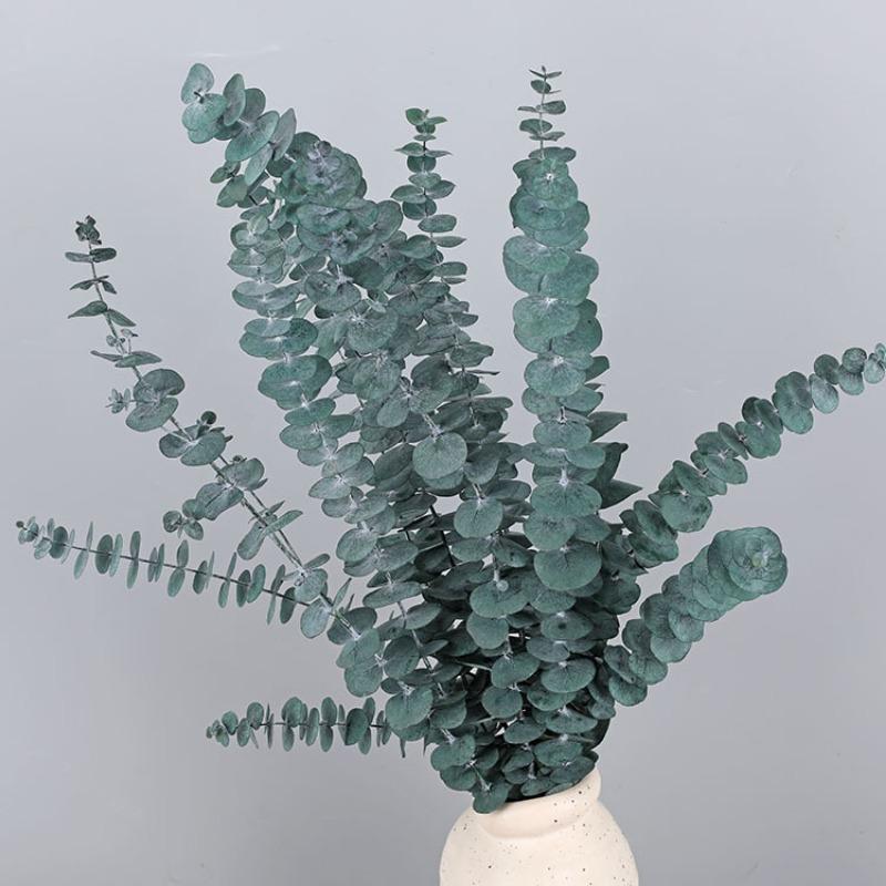 

Душевой набор из сушеного эвкалипта, 12 предметов - 17 дюймов (около 44 см) Большое бессмертное растение для душа на стебле эвкалипта 12 pcs