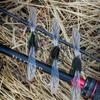 Bass Trout Pencil Lure Wobblers Fishbait Fishing Bait 2023 Simulated Insect Bait  Fishing