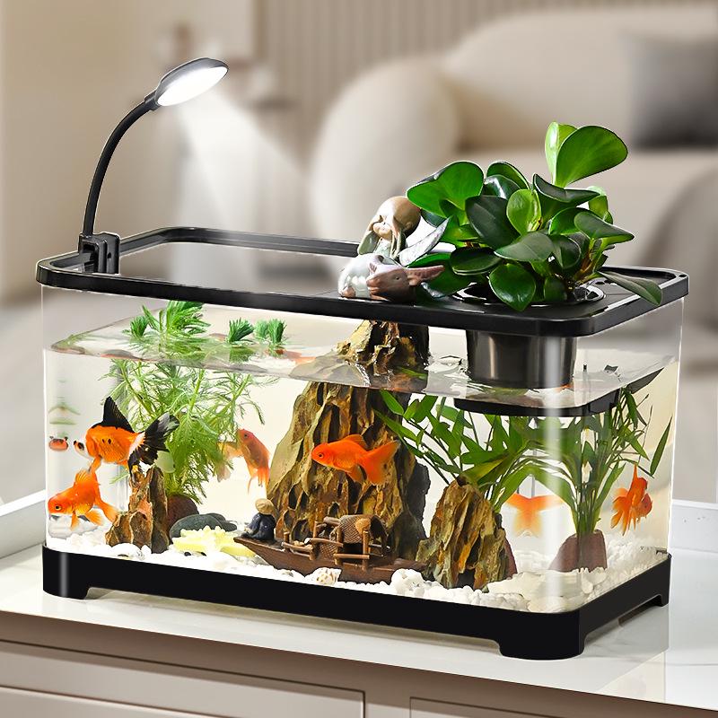 Transparent Plastic Desktop Goldfish Tank for Home Decor - Small & Medium Sizes Available