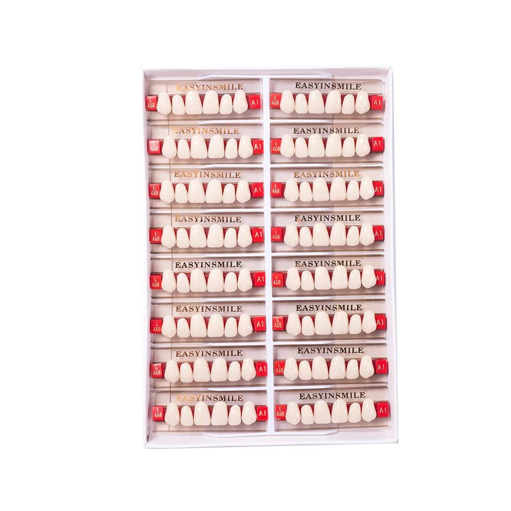 16/12 Sätze/Karton Zahnprothese Zähne Oberkiefer Frontzähne Unterkiefer Seitenzähne Dentier Synthetisches Polymerzähne Zahnmedizinische Ausbildungsmodell