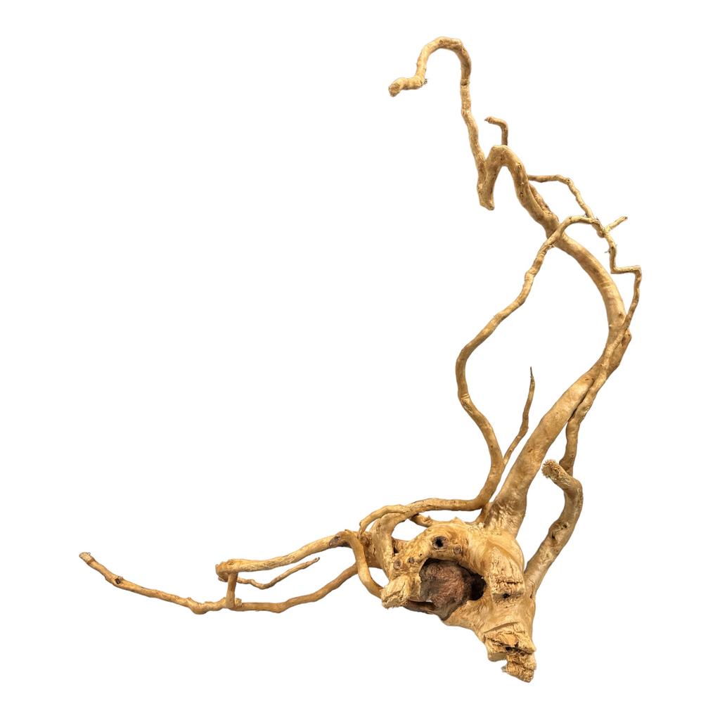 BioRoot Red Moor S / 20-30cm / Japanese root for terrariums and aquariums