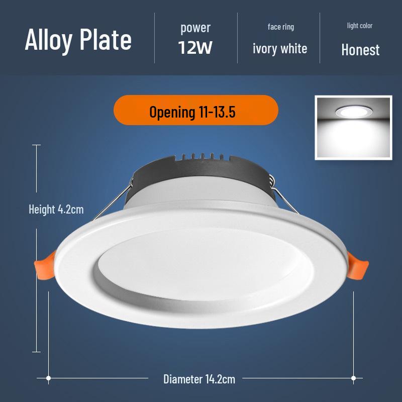 Recessed Ceiling Downlight – Copper Spotlight for Living Room and Commercial Spaces