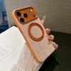 iPhone 16/17 Pro Max Woven Magnetic Fabric Texture Full Coverage Anti-Drop Case