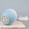Gradient Color Funeral Urn for Pets Household Sealed Dog Cat Cremation Urns  for Kitchen
