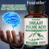 Shilajit Fulvinsäure 20% Kapseln (ohne Füllstoff) – Unterstützt Gedächtnis und Gehirnfunktion 120 Kapseln