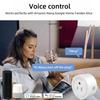 16A Smart WiFi Socket with Power Monitoring & Voice Control