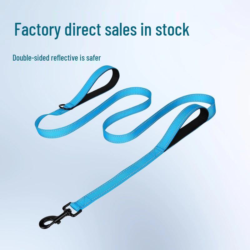 Double Layer Explosion-Proof Reflective Dog Leash - Shock-Absorbing, Thickened Pet Leash
