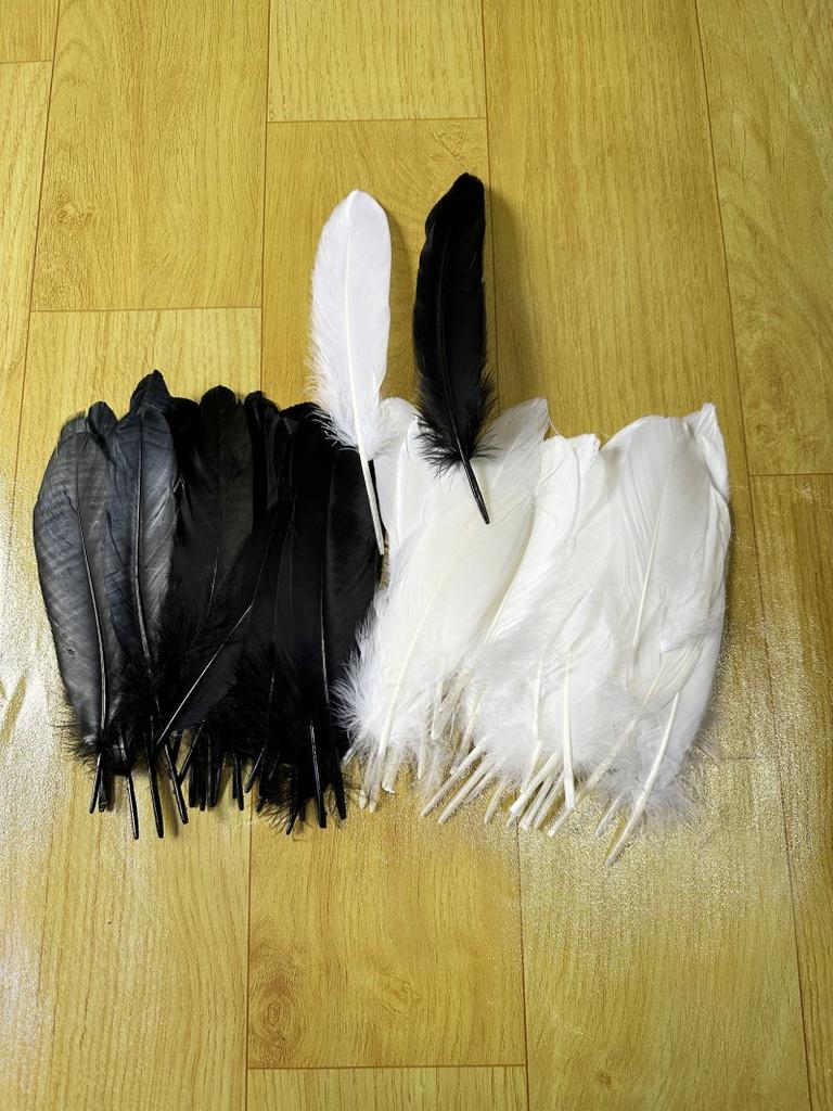 Black White Goose Feather 15-20cm White  Wedding Party Carnival Plume Decoration Jewelry Hats Diy Party Earring  Dress Crafts