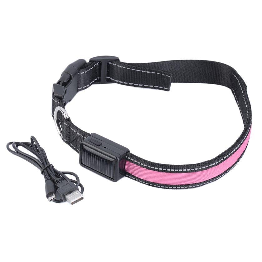 led lighted dog collar