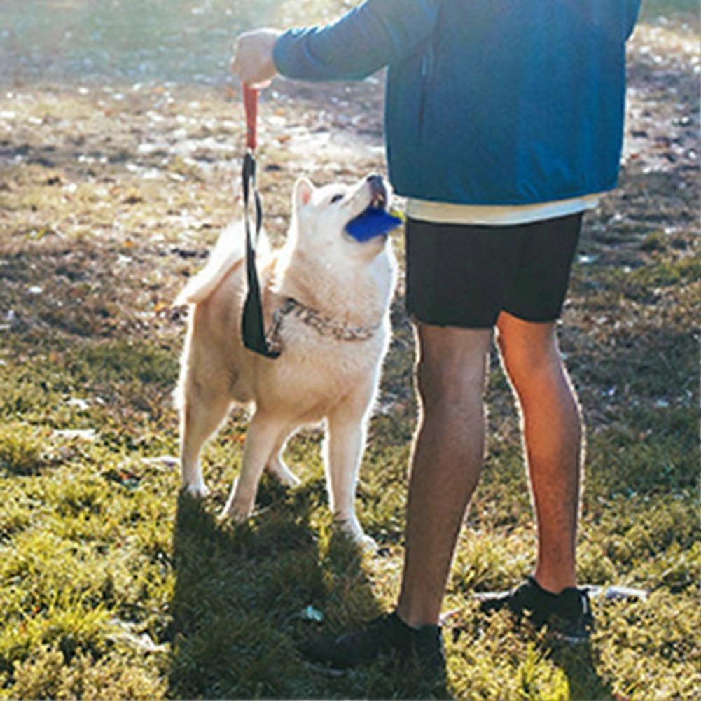 Dog Scent Training Kit, Scent Work Training Kit for Dogs Nosework for Dog Mental Stimulation Agility Training Equipment