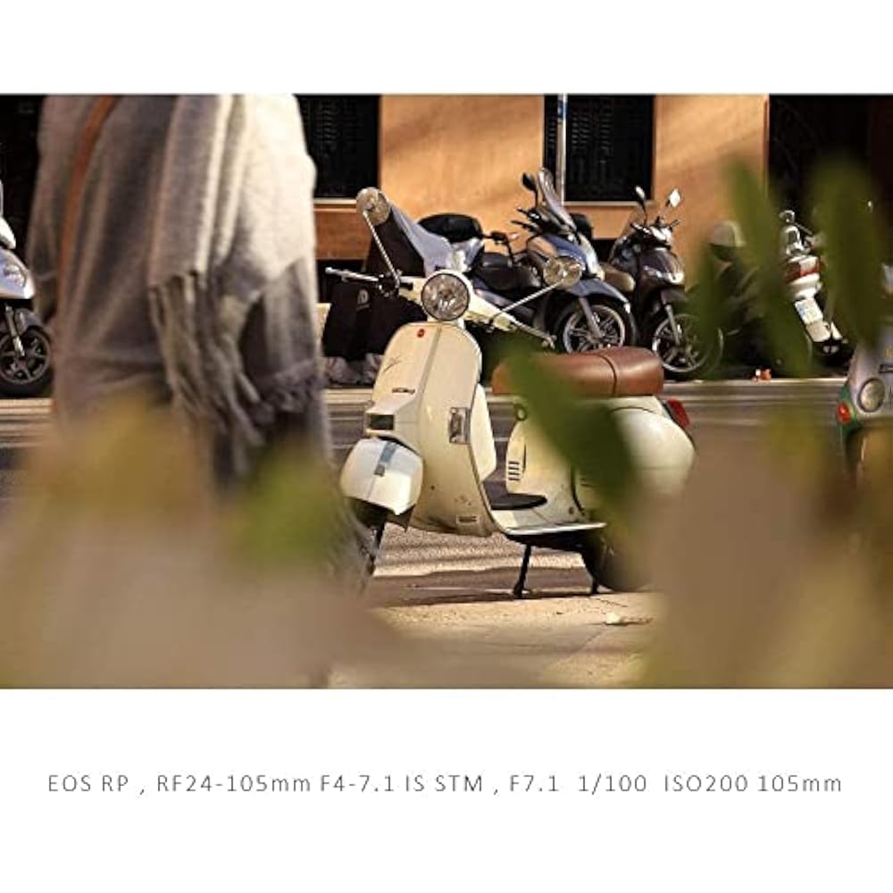Canon RF24-105ISSTM Standard Zoom Lens RF24-105mm F4-7.1 IS STM EOSR Compatible