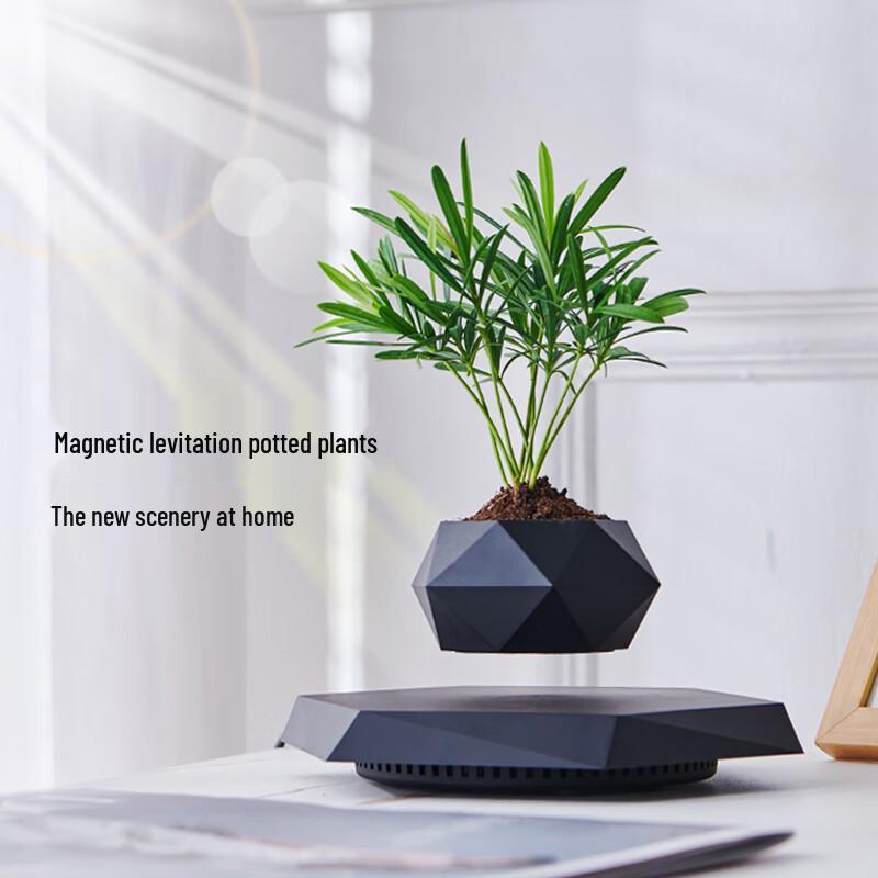 Magnetic Levitation Potted Plant: Creative Bonsai Handicraft Gift for Teacher s Day & Living Room Decor.