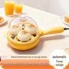 Canxiang Non-Stick Electric Frying Pan: Poached Eggs, Dumplings, Pot Stickers & Breakfast Cooker