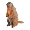 Action Figure Cognitive Toy Simulation Art Decor Crafts Model Early Educational for Party Kids Gifts