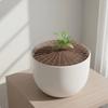 Breathable Mesh Plant Pot Soil Protector Grid Cover  for Beginner Gardeners