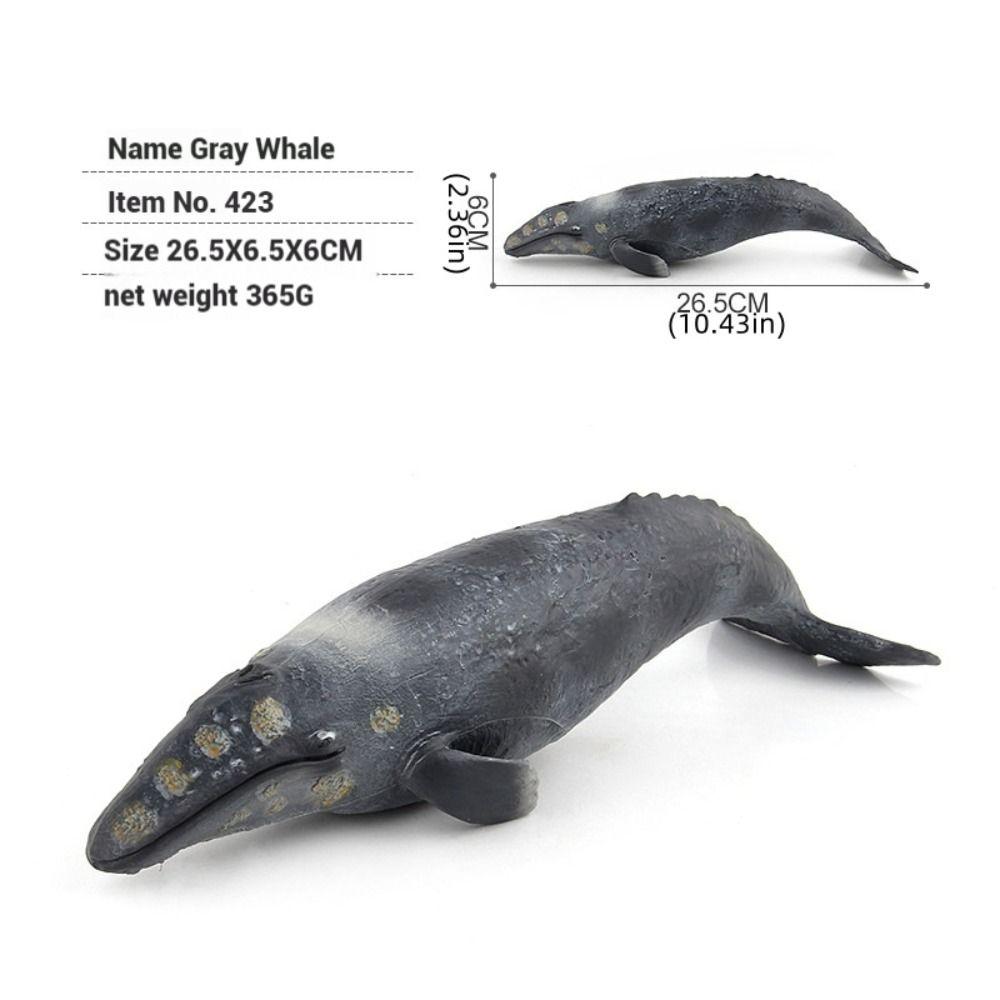 Sperm Whale Marine Animal Model Simulation Sea Life Figure Creative Whale Figurines  Kids Toy