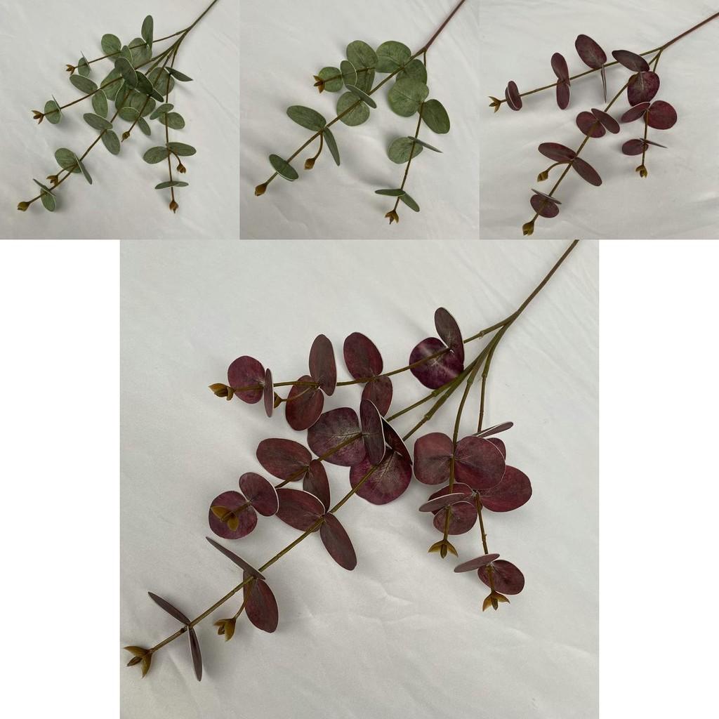 Artificial Eucalyptus Money Leaf Stems For Indoor Outdoor Decoration Photography