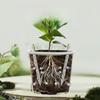 30pcs Drainage Pipes To Prevent Root Rot and Improve Drainage, Suitable for Indoor and Outdoor Use Plant Root Ventilation