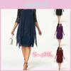 Gorgeous Plus Size Womens Fashionable Lace Dress With Overlay Design