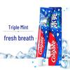 Colgate Triple Mint Ice Cool Toothpaste