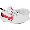 Court Zoom Pro Tennis Shoes