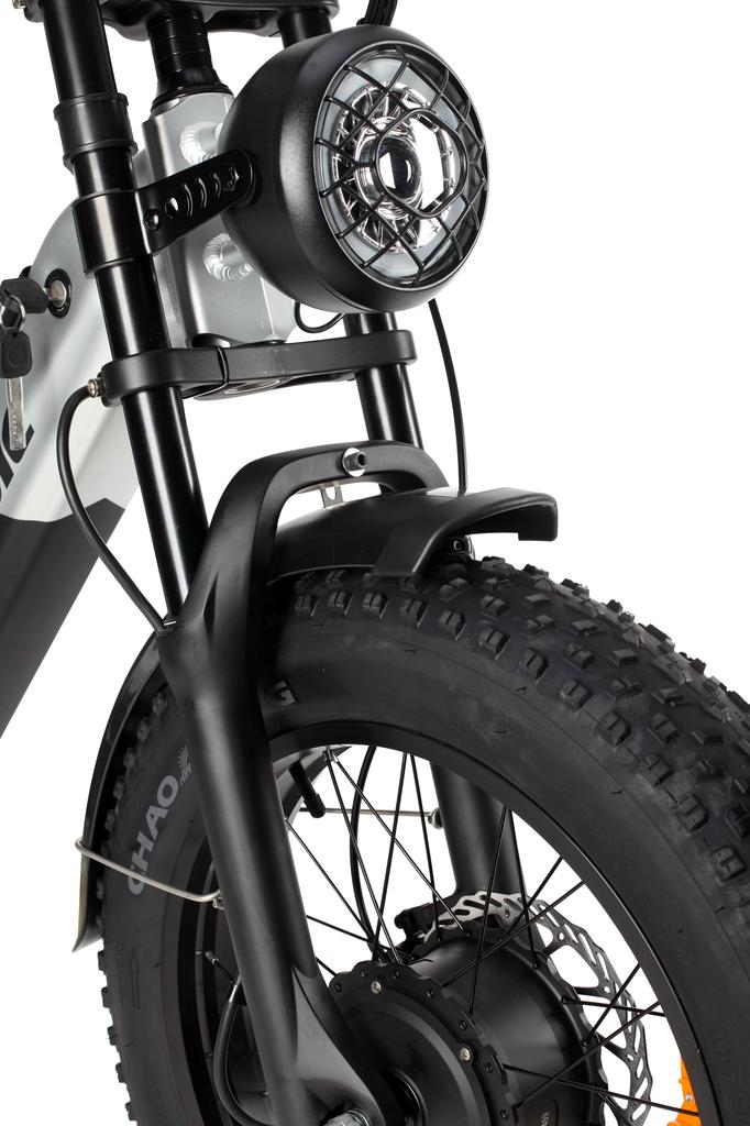 BAOLUJIE DP2033 All-Terrain Erwachsenen Elektrofahrrad 20*4.0 Zoll Fat Tires 1000W Dualmotor 48V 12Ah Dualbatterie E-Mountainbike Mit Scheibenbremse