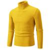 Herren Pullover Herbst/Winter 2024 Hoher Kragen Unifarben Lässig Gestrickt