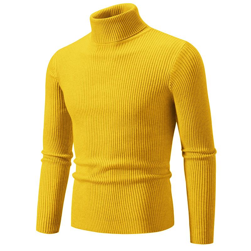 Herren Pullover Herbst/Winter 2024 Hoher Kragen Unifarben Lässig Gestrickt