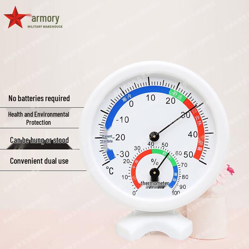 Indoor Wall-Mounted Thermometer & Hygrometer