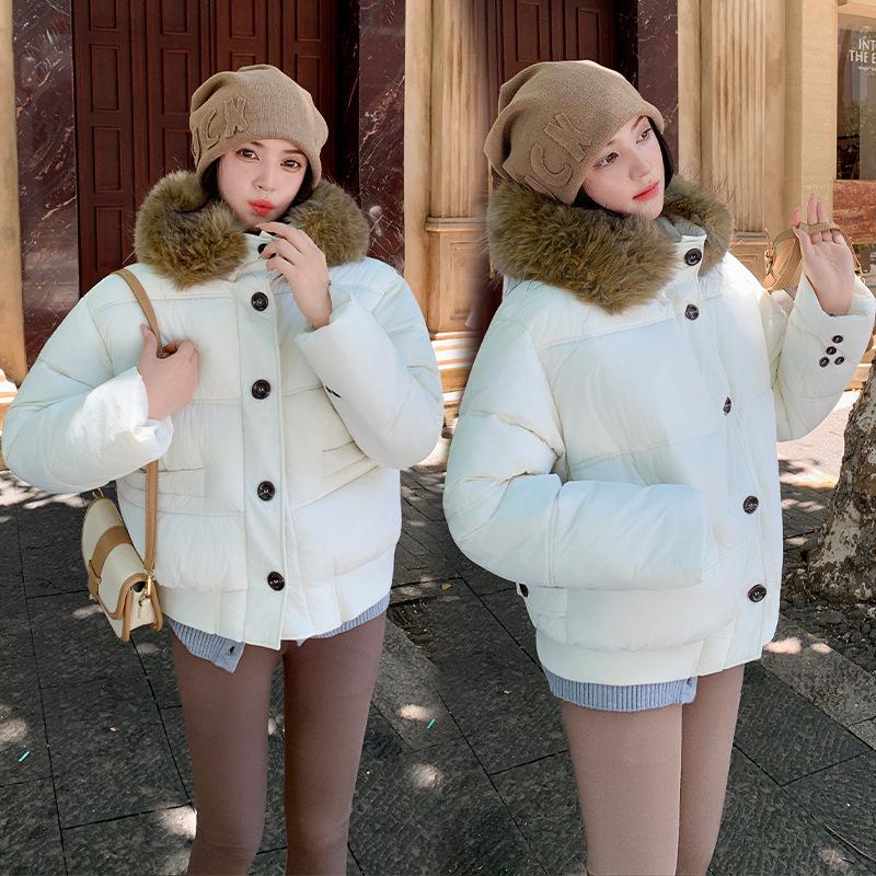 Seasonal down cotton-padded clothes women's loose cotton-padded clothes casual short big fur collar jacket