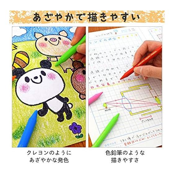Sakura Craypas Color Pencils,クーピー Pencil, 60 Colors, Tin Case, with Cover, FY60. Combines the ease of writing of colored pencils with the beautiful