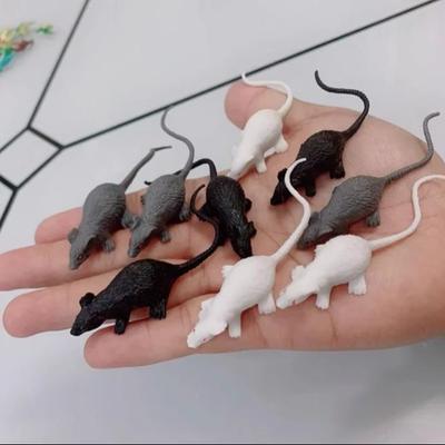 10 Stück Scherz-Mini-Maus-Modelle und weiße Spinnen-Requisiten Horror-Parodie Halloween Aprilscherz-Spielzeug Plastik-Tierbilder