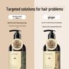 Hathaway Anti-Hair Loss & Strengthening Shampoo Series