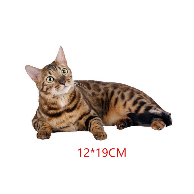 

Tri Mishki Wcs629 11x21cm Pet Animal Bengal Cat Siberian Cat Funny Auto Stickers Auto Automobile Wall Decals
