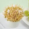 100pcs Versatile Bamboo Food Picks Disposable Dessert Sticks Toothpick Skewer  Cake Dessert