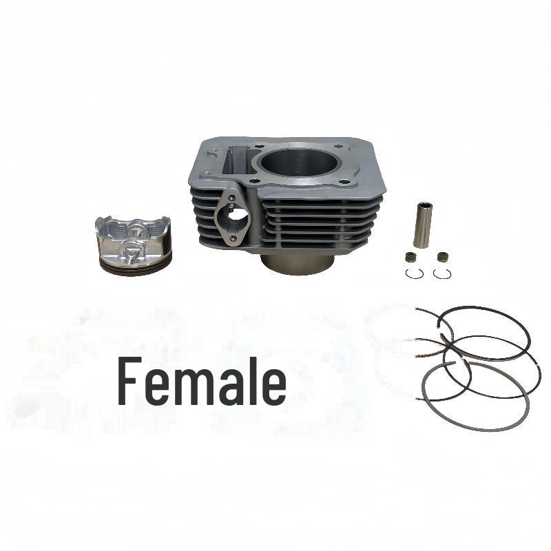 

Цилиндр Vortx 250 для поршня мотоцикла ZongShen CPS300 RBT250