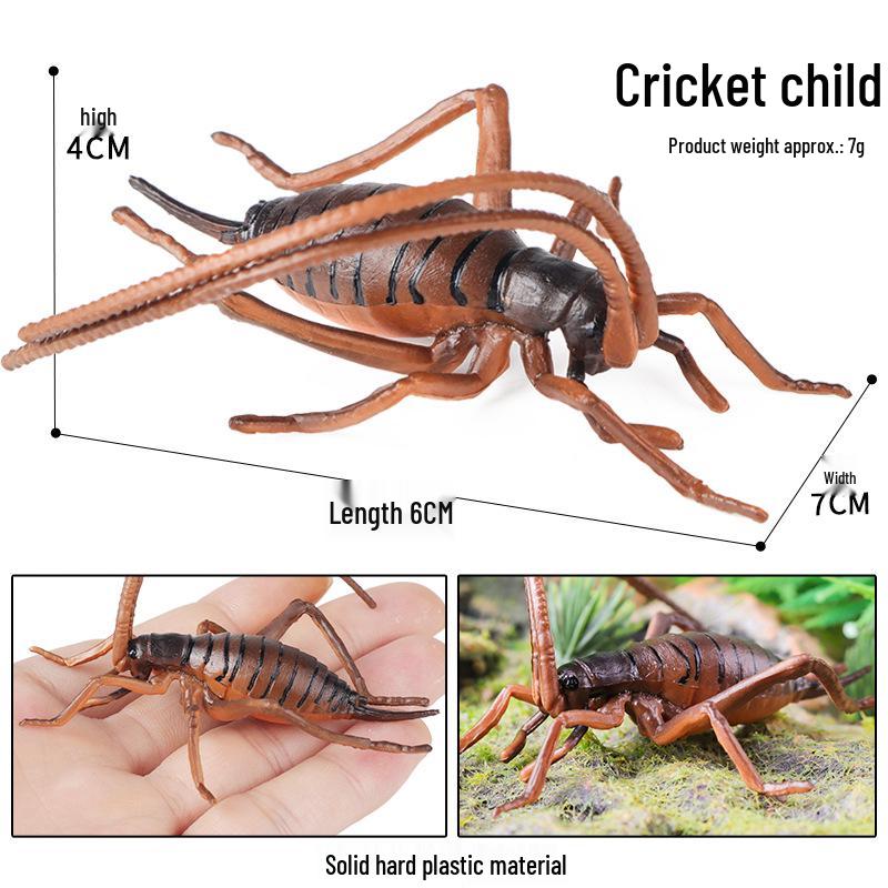 Children s Toy: Bombardier Beetle Simulation Model - Wild Animal Series