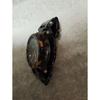 Used NIXON 42-20 CHRONO 200M Tortoiseshell Pattern Wristwatch (out of Battery)