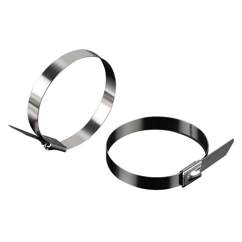 Black Coated 304 Stainless Steel Self-Locking Cable Ties