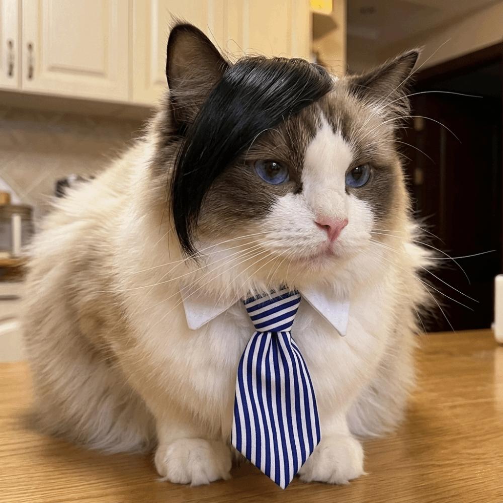 Fashion Funny Pet Side Bangs Creative Eye-catching Dog Wig Adjustable Cat Headdress Halloween Costume