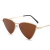 Fashion Metal Triangle Sunglasses Hip Hop Cyberpunk Stylish Irregular Small Frame Sun glasses Women Travel Cool Eyewear