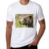 Alaskan Bear Tshirt Stylish Graphic Short Sleeve Top