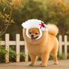 Adjustable Cat Head Covers Cartoon Puppy Dress Up Adorable Pet Cosplay Hat  Cross Dressing